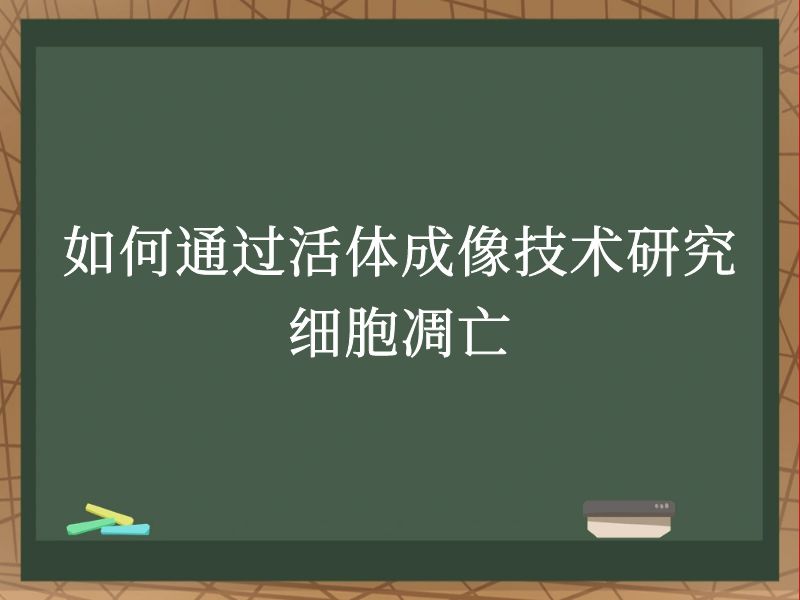 如何通过活体成像技术研究细胞凋亡